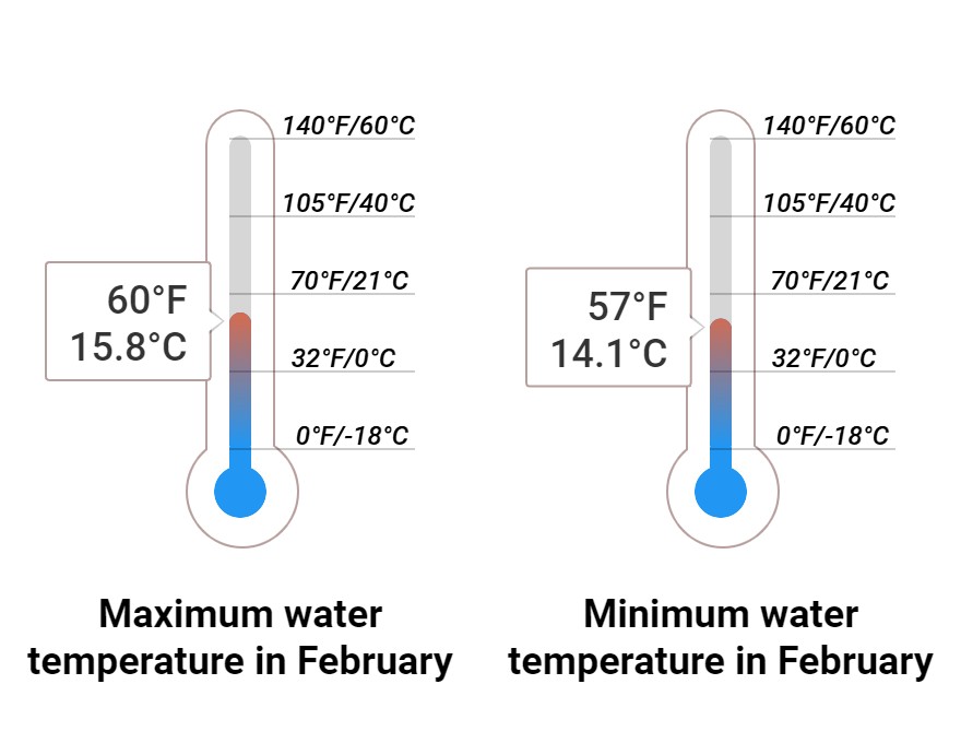 Average Sea temperature